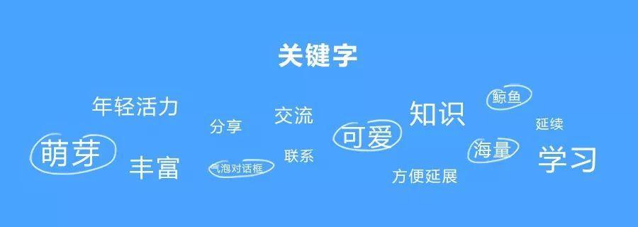 百度SEO排名优化：引领企业数字营销新纪元